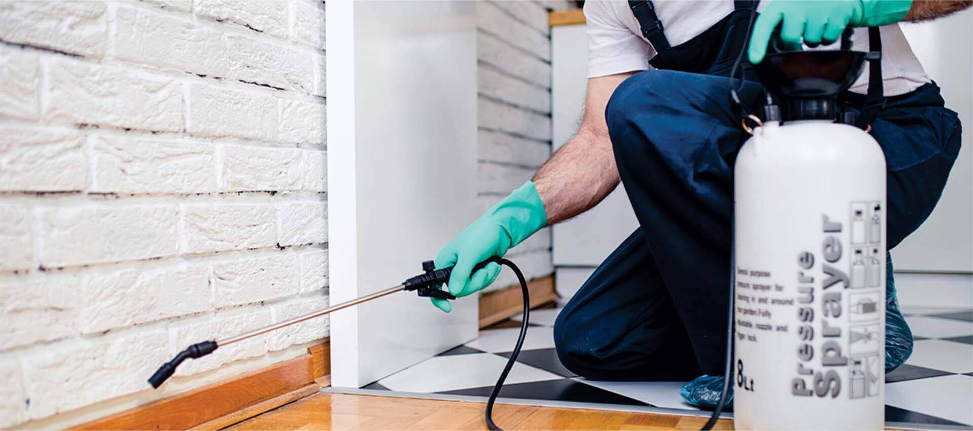 Serviços da Cometa Oficial Dedetizadora