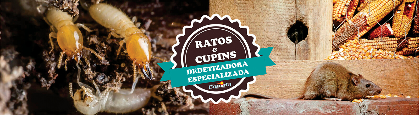 Desentupidora 24h SP