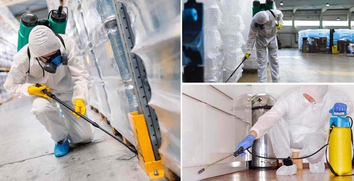 Serviços da Cometa Oficial Dedetizadora em São Paulo