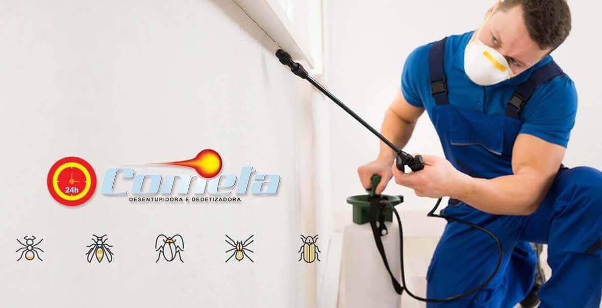 Controle de pragas Cometa Oficial em São Paulo