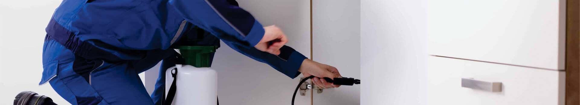 Controle de pragas Cometa em São Paulo