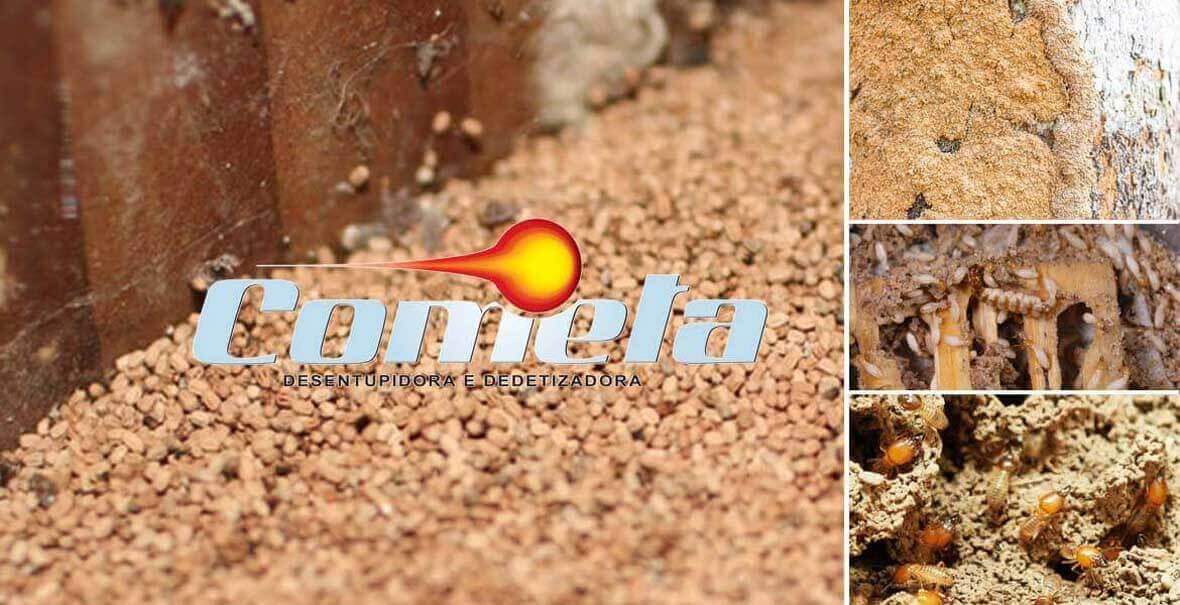 Descupinização | dedetização de cupins